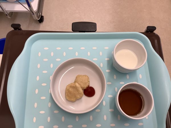 おやつアレルギー除去食おからナゲット