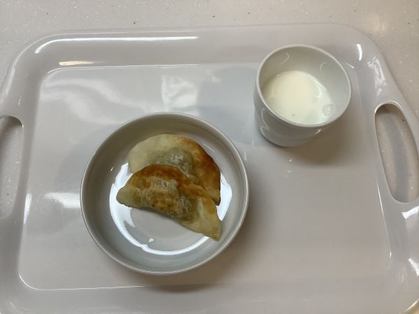 サモサ風です《常食》