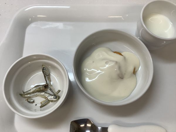 《常食》おやつは、みかんヨーグルトと食べる煮干しです。