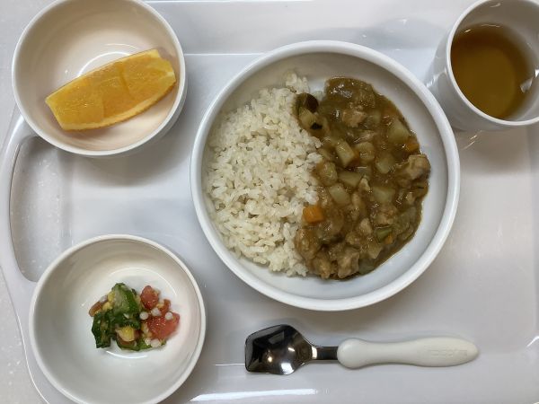 《常食》夏野菜カレーです。