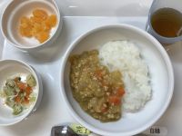 大根カレーです《完了期》