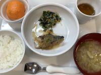 さばのみぞれ煮です《常食》