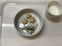 《常食》おやつは、梅クッキーと食べる煮干しです。