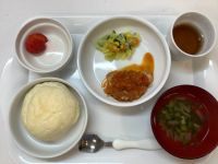 《常食》かじきのみそトマト煮です。