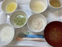 鶏ひき肉と玉ねぎ煮です《中期》