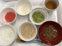 鶏ひき肉と野菜煮です《中期》