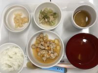 鶏肉団子のケチャップ煮です《後期》