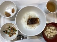 《常食》さばのかば焼きごはんです。