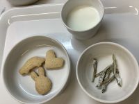 クッキーと食べる煮干しです《常食》